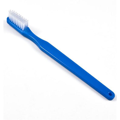 Brush Instrument Cleaning Plastic Handle Nylon Bristle Disposable 12/Pk - Surgical Supplies NY
